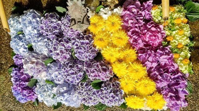 日吉大社「初夏の花手水」番外編♪  最終回の花手水をリメイクして、12日まで延長いたします！🌻  皆さまの心が癒されますように🙏✨  @ichica_flower @ichica_branch @branch_otsukyo_official @foleo_otsuichiriyama @hiyoshitaisha.official  #flower #produce #ichica #花のある暮らし #フラワー#滋賀県 #大津市 #花屋 #フォレオ大津一里山 #ブランチ大津京 #大津花屋#flowerproduceichica #日吉大社#日吉大社の花手水#初夏の花手水#紫陽花#向日葵