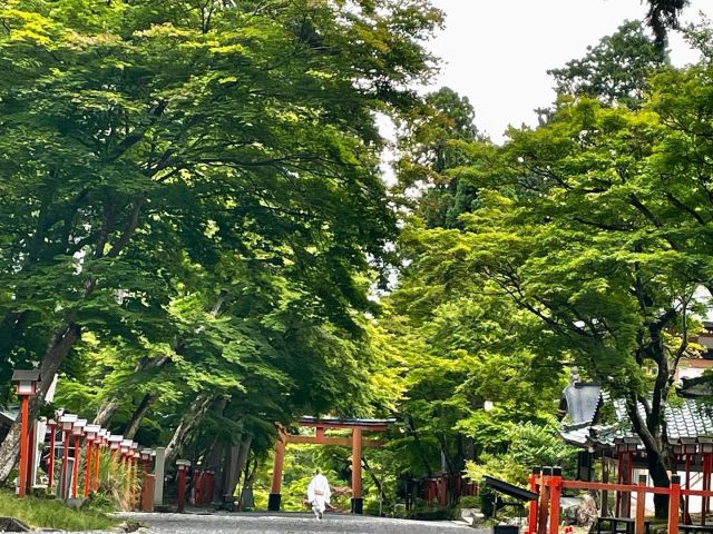 日吉大社「初夏の花手水」♪全6週と番外編、七色の花手水をご覧いただきありがとうございました😊  また皆さまにお会いできますように🙏✨  @ichica_flower @ichica_branch @branch_otsukyo_official @foleo_otsuichiriyama @hiyoshitaisha.official  #flower #produce #ichica #花のある暮らし #フラワー#滋賀県 #大津市 #花屋 #フォレオ大津一里山 #ブランチ大津京 #大津花屋#flowerproduceichica #日吉大社#花手水#初夏の花手水