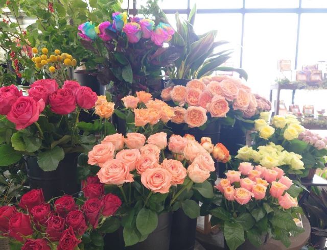 6/17日（金）～６/19(日）ローズフェア開催中です🌹  ６月19日は父の日です♪母の日にカーネーションを贈るように、父の日には黄色いバラを送ります✨  期間中はさまざまな品種のバラが店頭に並び特別価格でお求めいただけます✨  グラスサンドアートワークショップも好評です😊  ぜひこの機会にFlower produce ichicaまでお越しください💕  @ichica_flower @ichica_branch @branch_otsukyo_official @foleo_otsuichiriyama  #flower #produce #ichica #花のある暮らし #滋賀県 #大津市 #花屋  #フォレオ大津一里山 #ブランチ大津京 #大津花屋 #flowerproduceichica #ローズフェア