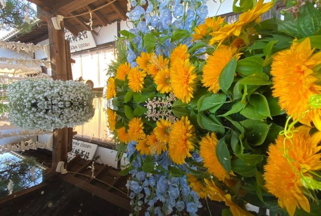 【唐崎神社　みたらし花手水】  7月22日(金)〜28日(木)好評の花手水を開催いたします❗️絶景の唐崎神社へ、ぜひお参りください😊  ※写真は昨年の様子です  @ichica_flower @ichica_branch @branch_otsukyo_official @foleo_otsuichiriyama @hiyoshitaisha.official  #flower #produce #ichica #花のある暮らし #フラワー#滋賀県 #大津市 #花屋 #フォレオ大津一里山 #ブランチ大津京 #大津花屋#flowerproduceichica #日吉大社#唐崎神社#みたらし祭りflowerproduceichica #みたらし花手水