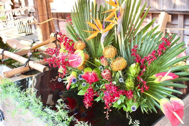 唐崎神社⛩みたらし花手水が始まりました🌺7月22日(金)〜28日(木)の期間、トロピカルな花手水をお楽しみください😊  @ichica_flower @ichica_branch @branch_otsukyo_official @foleo_otsuichiriyama @hiyoshitaisha.official  #flower #produce #ichica #花のある暮らし #フラワー#滋賀県 #大津市 #花屋 #フォレオ大津一里山 #ブランチ大津京 #大津花屋#flowerproduceichica #日吉大社#唐崎神社#みたらし祭りflowerproduceichica #みたらし花手水
